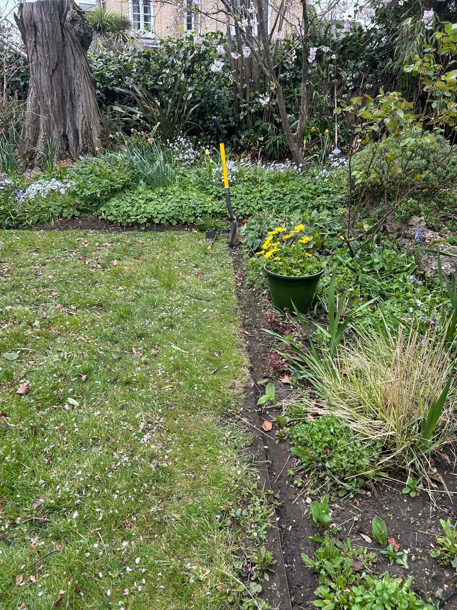 Garden Edging & Borders