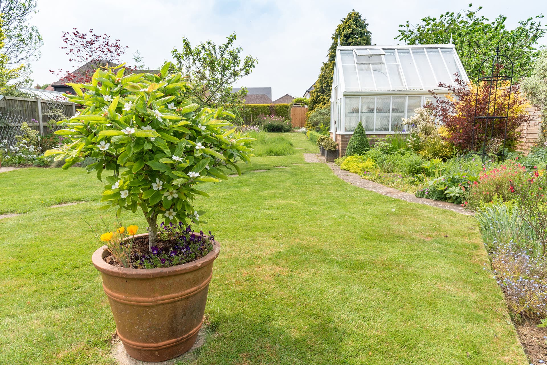 Beautiful English back garden