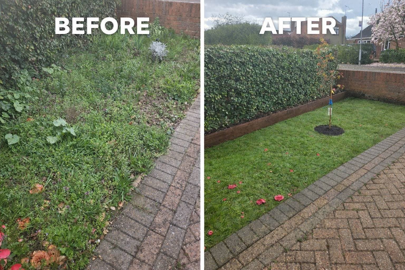 Lawn & Border Restoration